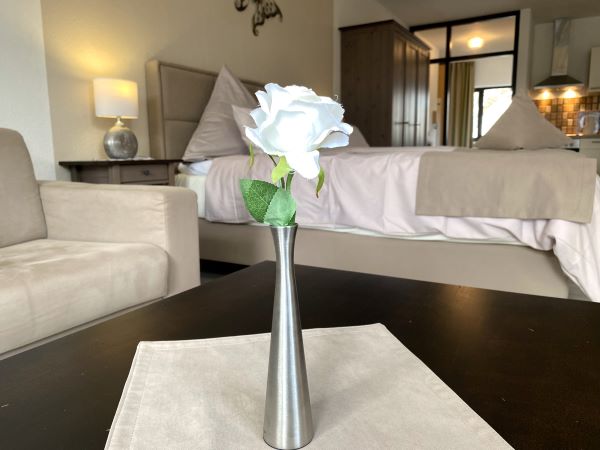 Baccara Exklusives Studio 5